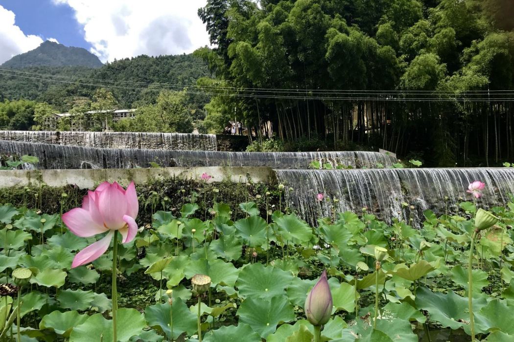 道元古村景區