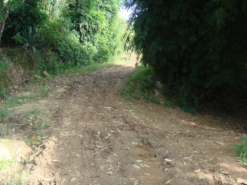 小大寨自然村村內道路