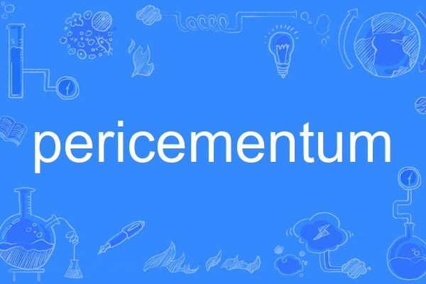 pericementum