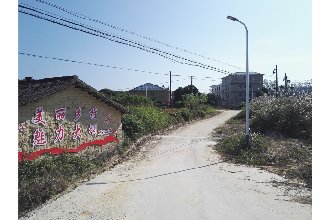 鳳坪村(廣西壯族自治區玉林市博白縣大垌鎮下轄村)