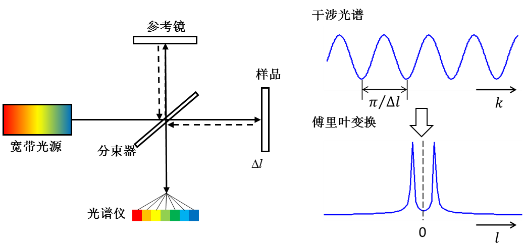 光學相干層析成像