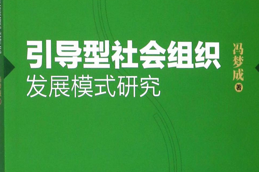 引導型社會組織發展模式研究