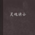 靈魂騎士(奇幻小說)