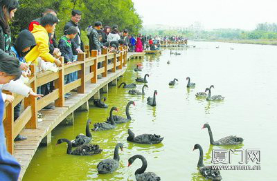 廈門五緣灣濕地公園