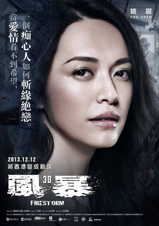 風暴(2013年劉德華主演的電影)