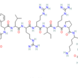 強啡肽A(1-13)