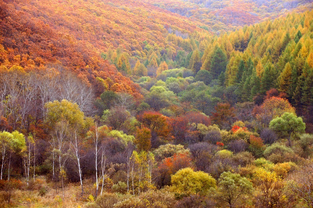 阿爾山奧倫布坎旅遊景區