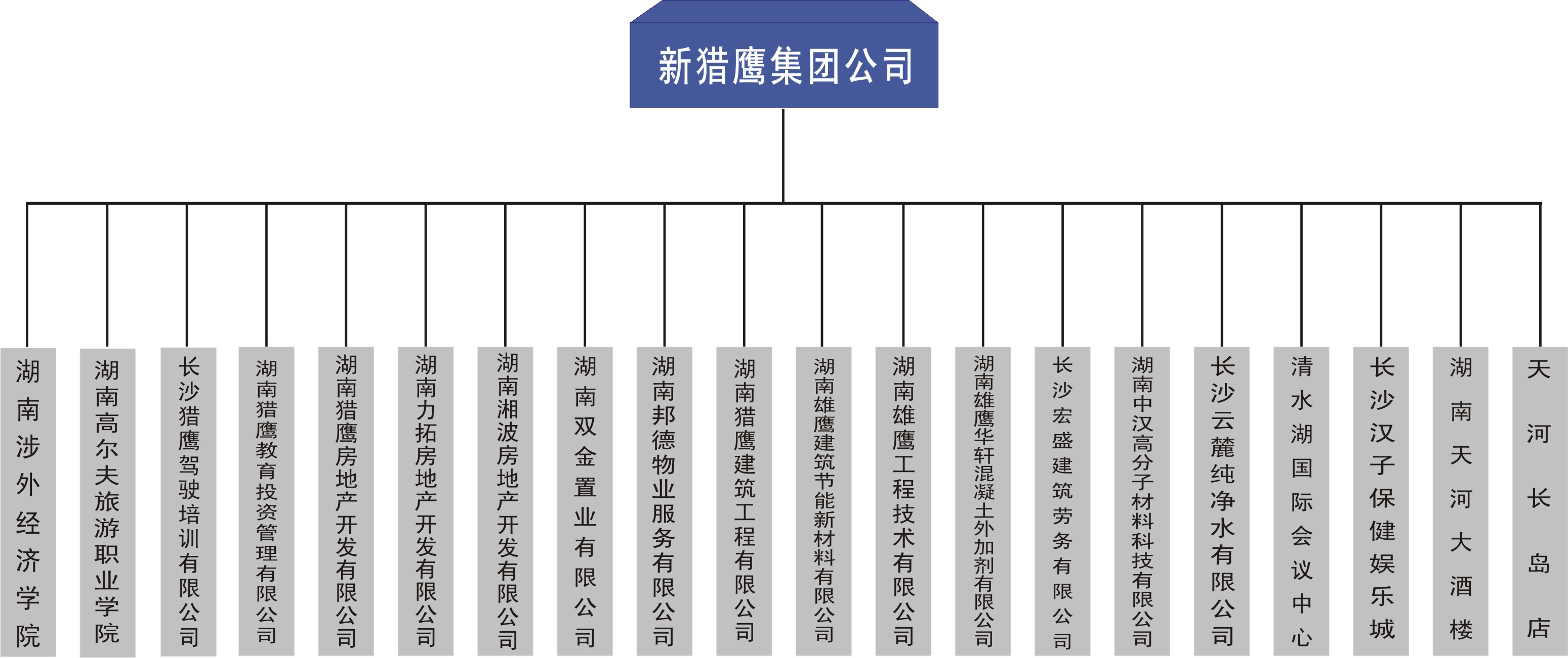 湖南新獵鷹集團公司各子公司分布圖