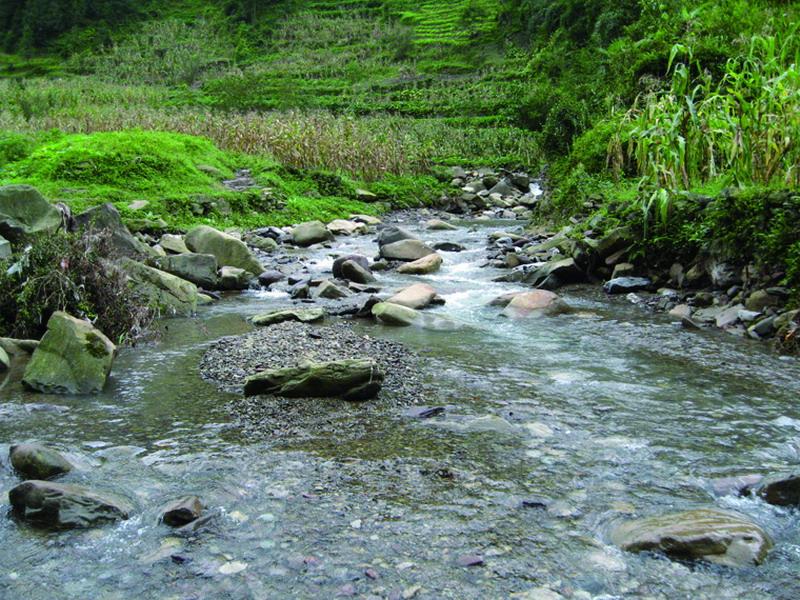 茶園溝自然村