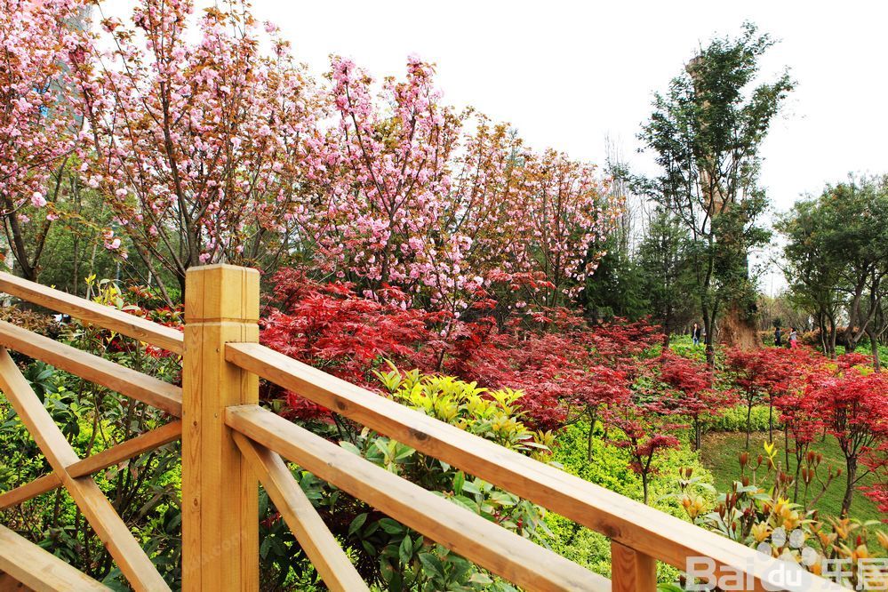 果園社區(北京市豐臺區大紅門街道下轄社區)