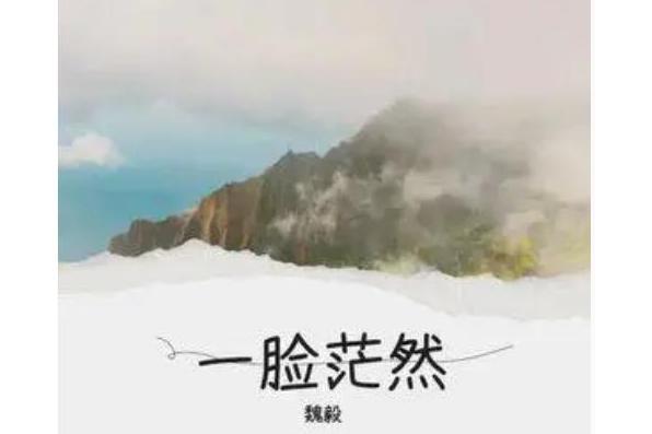 一臉茫然(魏毅演唱的歌曲)