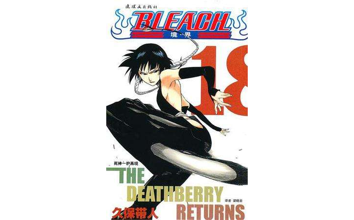 BLEACH 境·界18