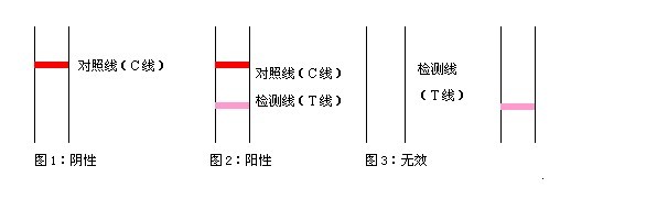 妊娠診斷試紙