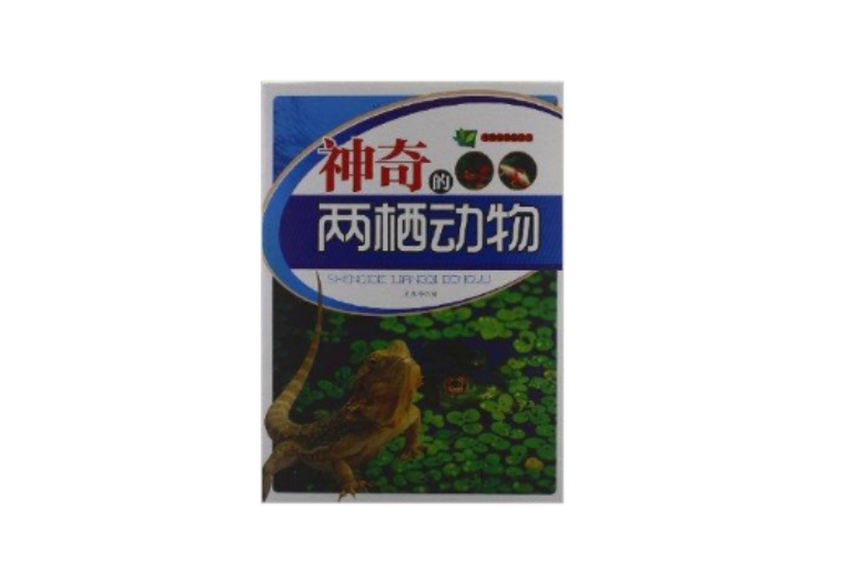 生物知識知道點：神奇的兩棲動物