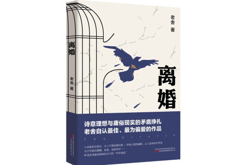 離婚(2023年萬卷出版有限責任公司出版的圖書)