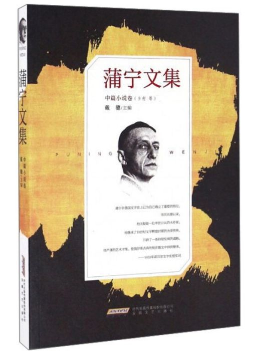 蒲寧文集·中篇小說卷