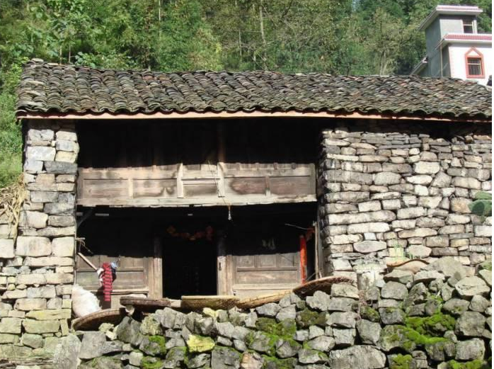 王家寨村(雲南曲靖市羅平縣大水井鄉下轄村)