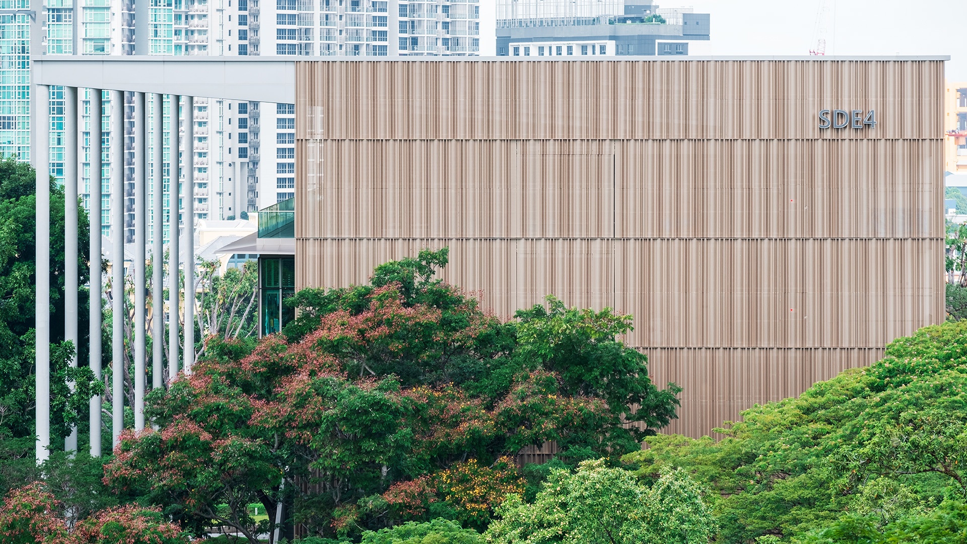 新加坡國立大學