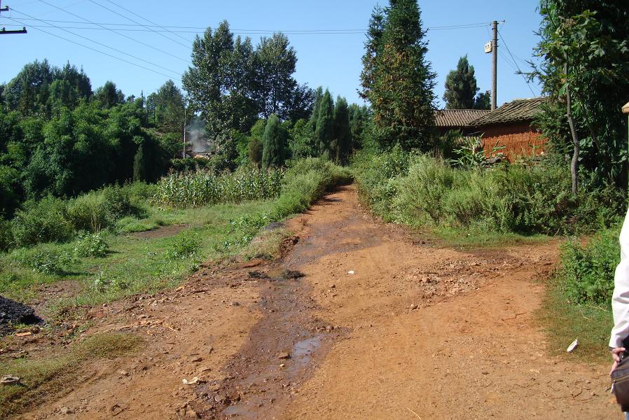 進村道路