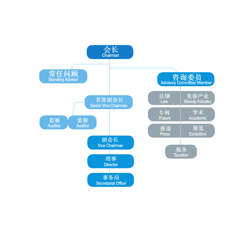 協會組織圖