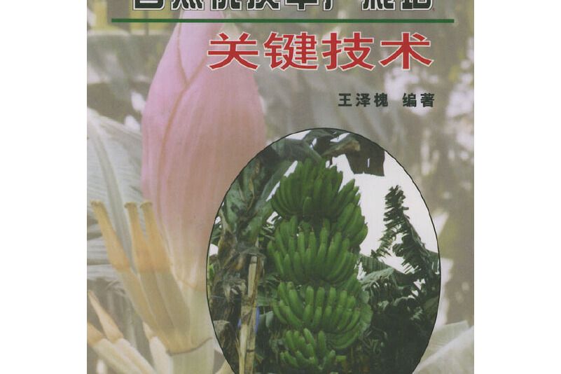 香蕉優質豐產栽培關鍵技術