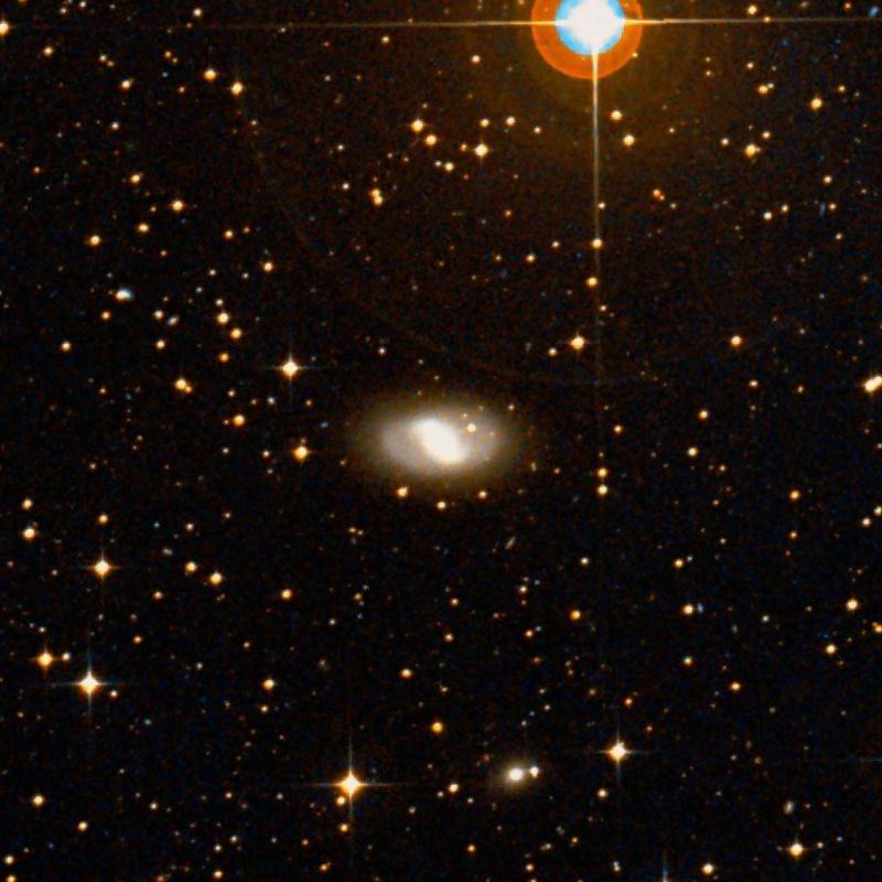 NGC 2983 SDSS 彩色圖