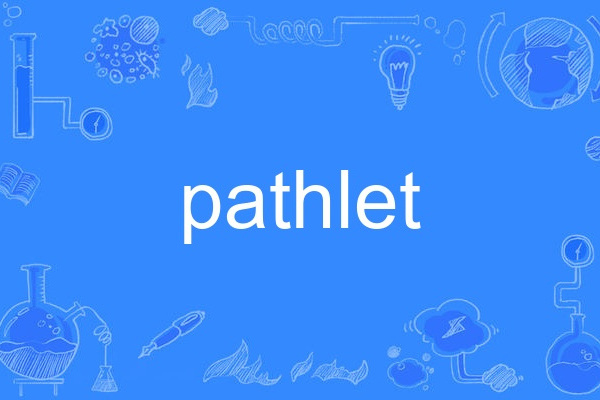 pathlet