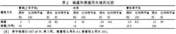 西瓜滴灌技術