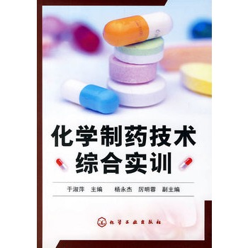 化學製藥技術綜合實訓(2007年化學工業出版社出版的圖書)