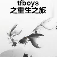 tfboys之重生之旅