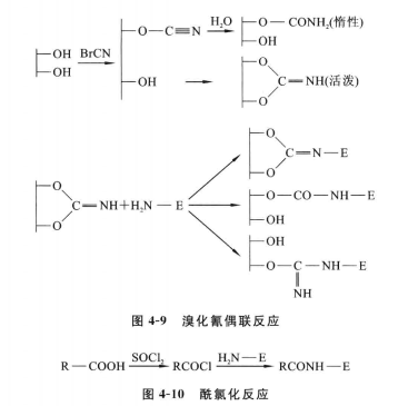 溴化氫-氨碳酸基反應