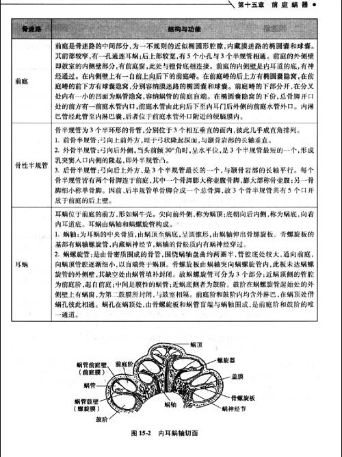 核下癱