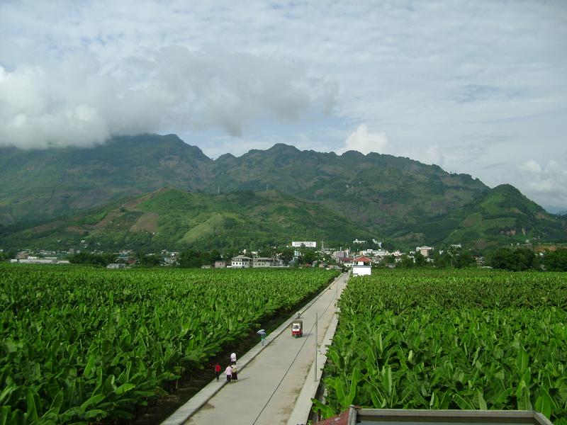 村莊全貌(遠景)