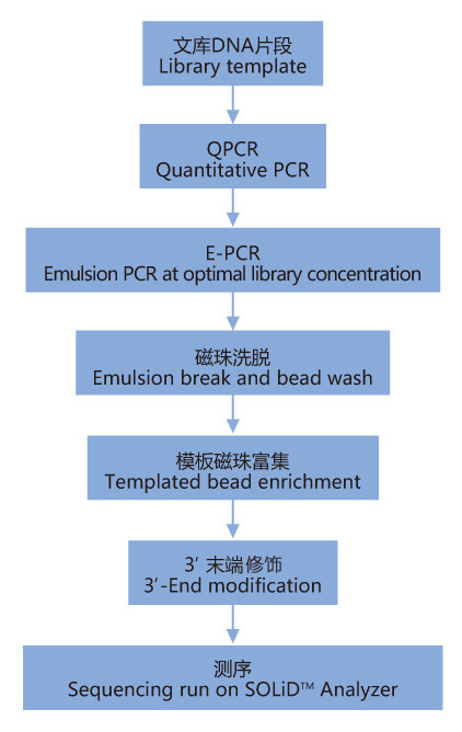 全基因組重測序