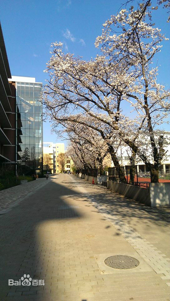 東京農業大學(日本東京農業大學)