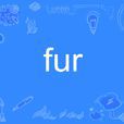 Fur(英文單詞)