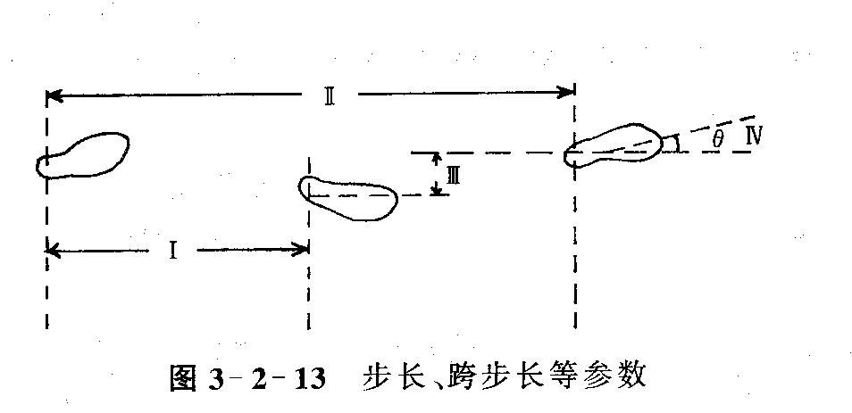 步態參數