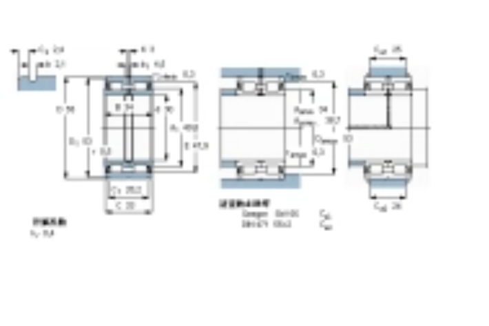 SKF NNF5006ADB-2LSV軸承