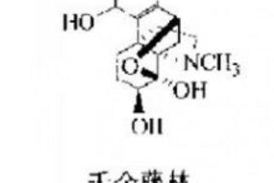 千金藤林