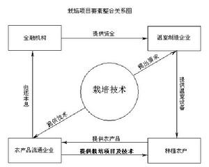 全要素生產率