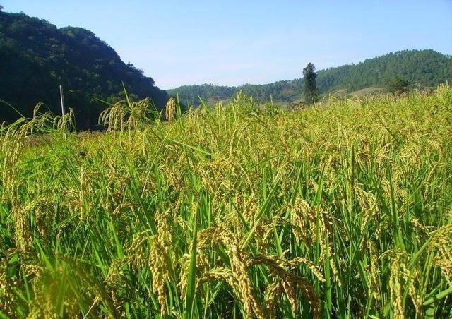 四角田村(雲南保山市昌寧縣田園鎮下轄村)