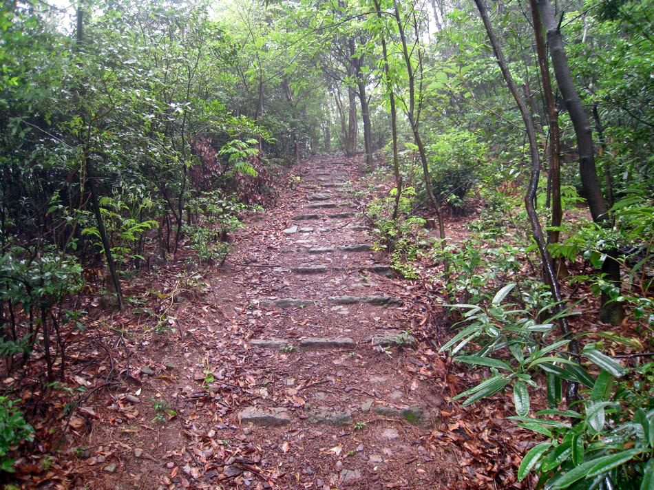 錫靈峰古道