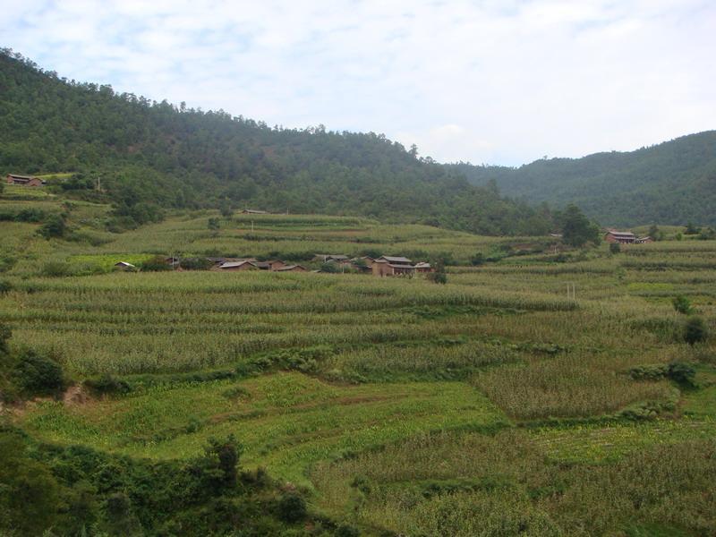 松登村(雲南雲龍縣諾鄧鎮青松村委會松登村)