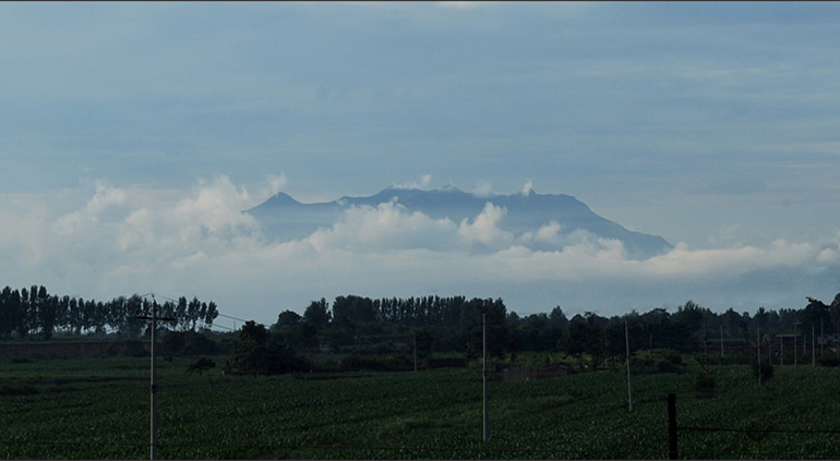 嵯峨靈雲