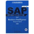 SAP商務智慧型完全解決方案