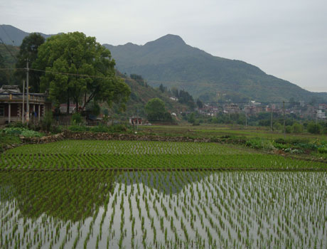 鋪前村