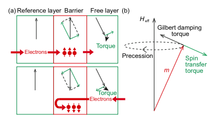 圖1  自旋轉移矩原理示意圖