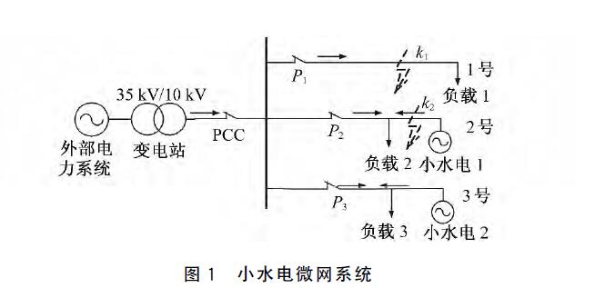 小水電微網併網保護策略