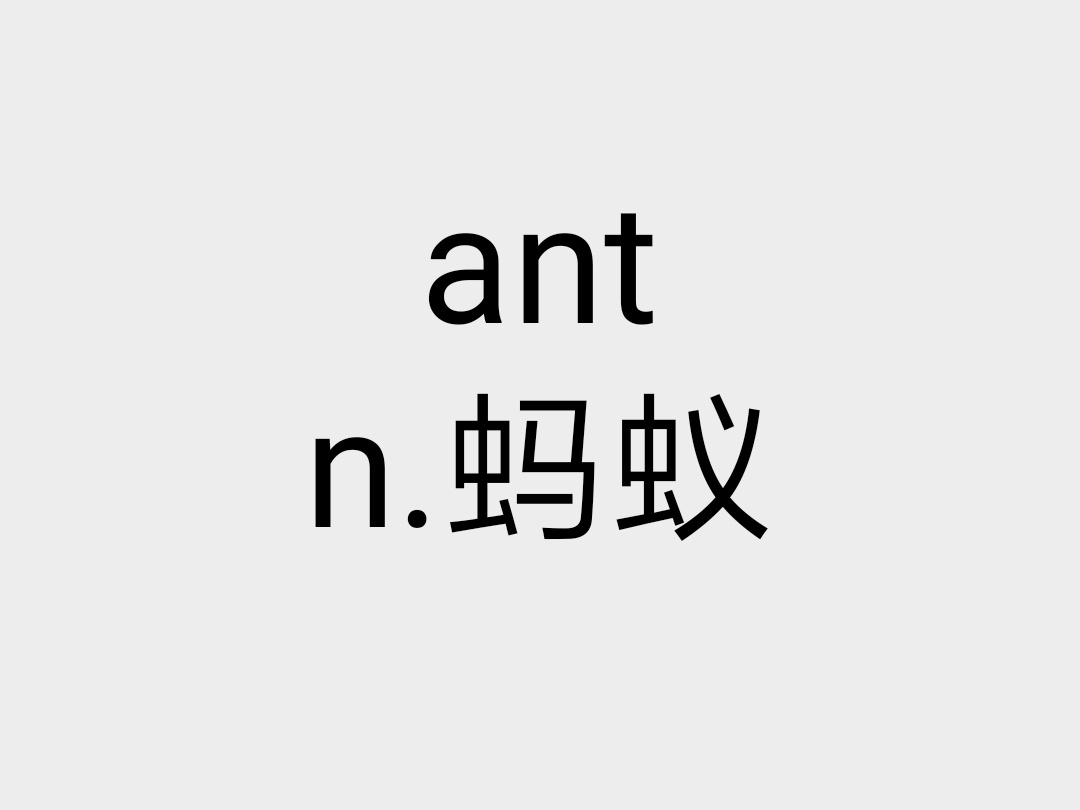 ant(英語單詞)