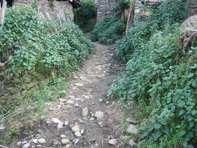 尖山腳自然村村內道路